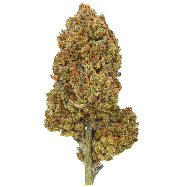 Indoor Hailstorm Otherside Hemp