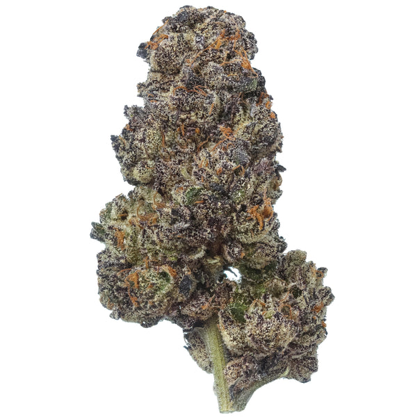 Sherb Cream Pie THCA Flower Otherside Hemp