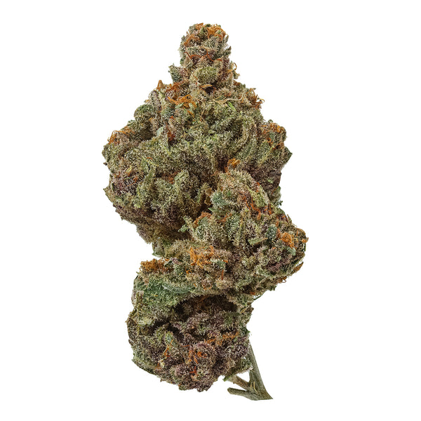 Greenhouse Black Lavender 26% THCA