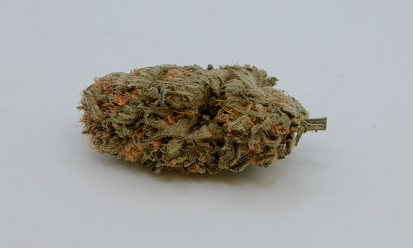 Blue Dream THCA