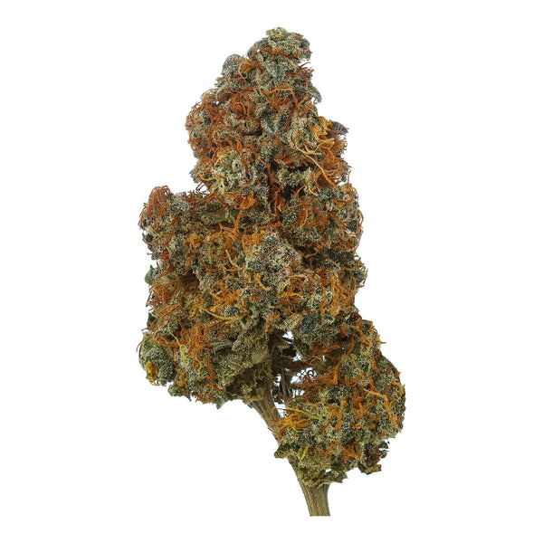Buck Nasty CBD Flower (Type 3) Otherside Hemp