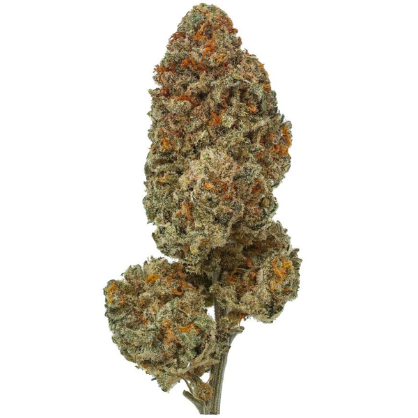 Cotton Candy Cane THCA Otherside Hemp