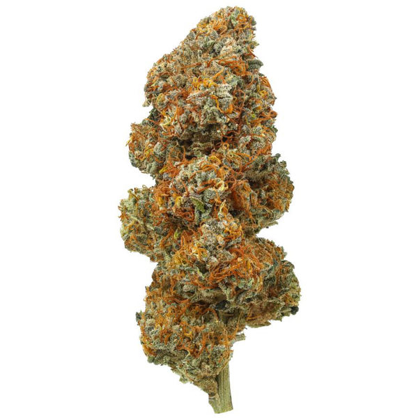 Indoor Candy Roaster Otherside Hemp
