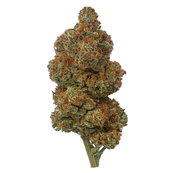 Hailstorm 1:1 Mixed Ratio Flower (Type 2) Otherside Hemp