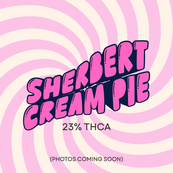 Sherbert Cream Pie THCA Flower